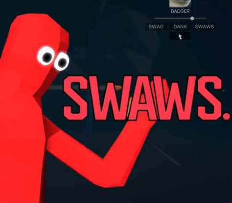 SWAWS .